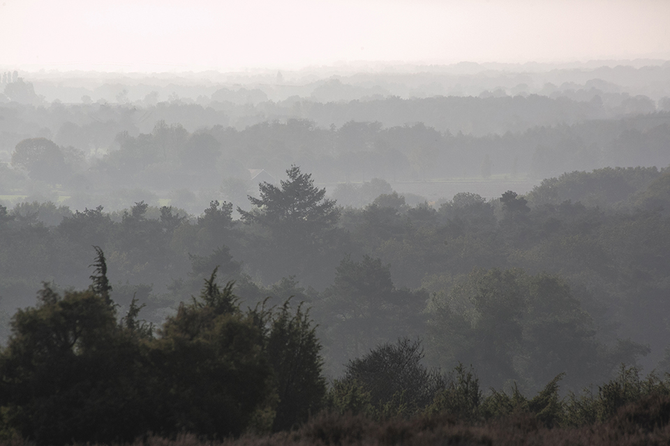 Dikke mist monochroom