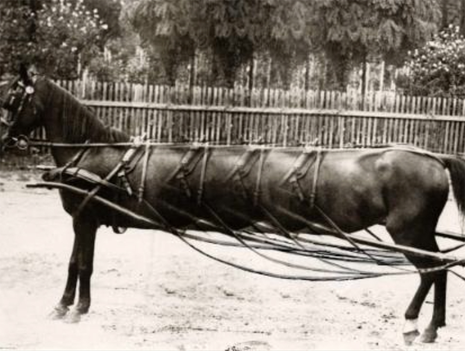 Eén april grap uit 1928