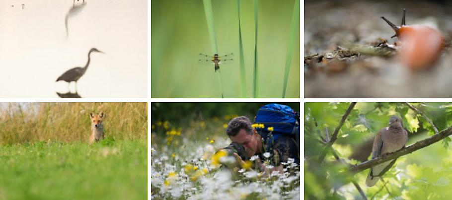 Fotosafari beurs het vinne