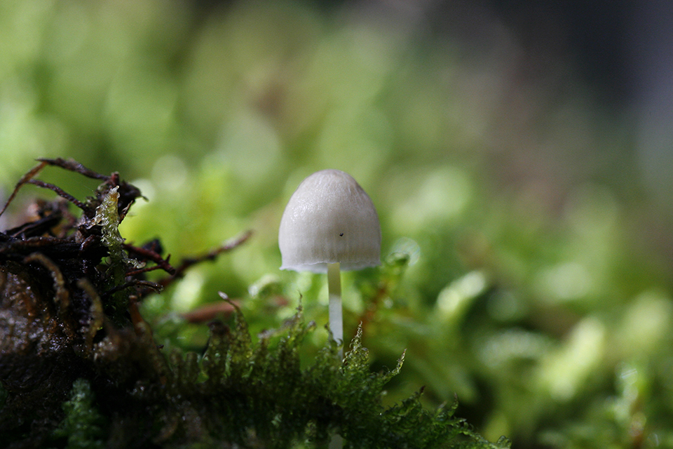 Herfstfoto Herfstfoto