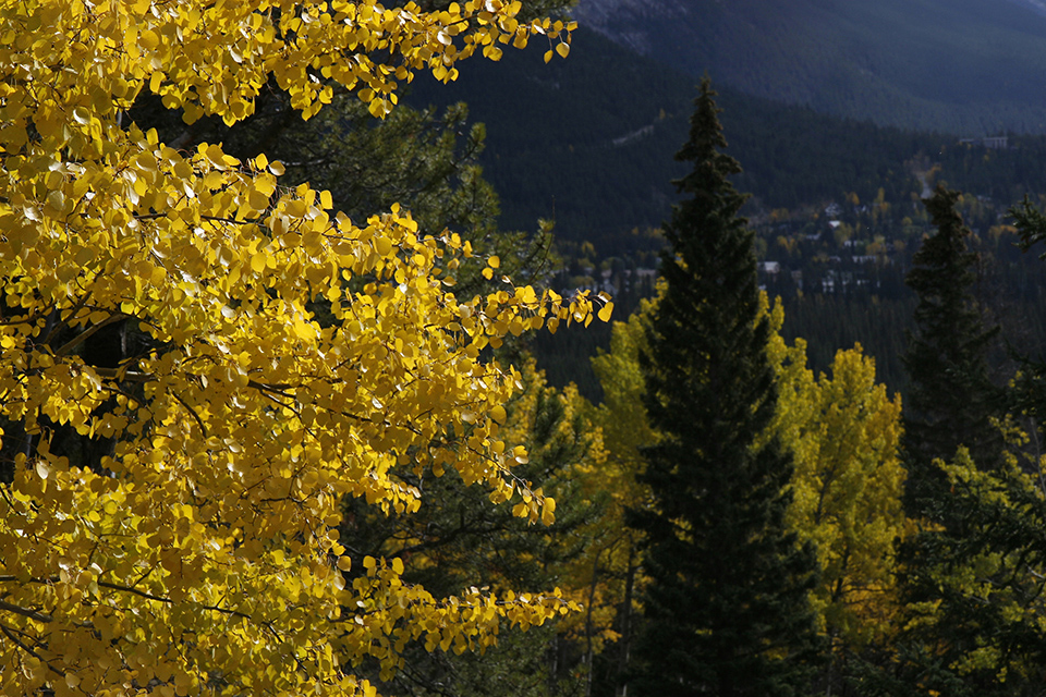 Herfstfoto Indian Summer