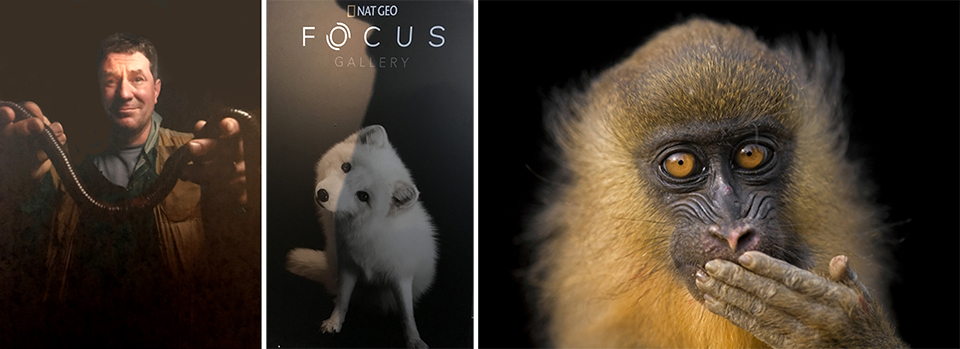 Joel sartore photo ark Joel sartore photo ark