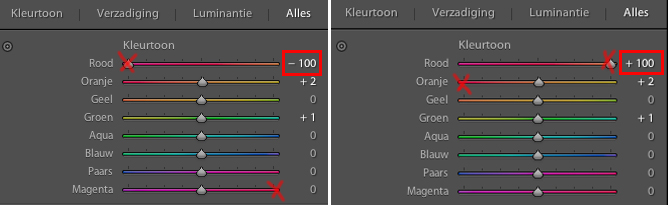 Kleurtoon rode tinten
