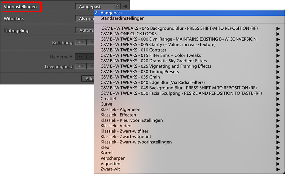 Lighroom film -Voorinstellingen Aangepast