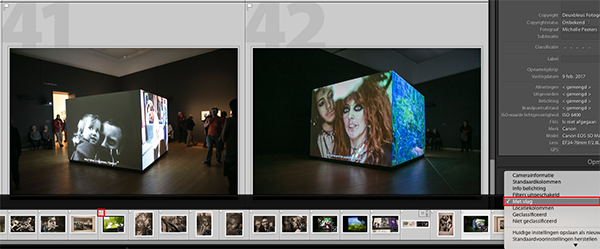 Lighroom selecteren vlaggen