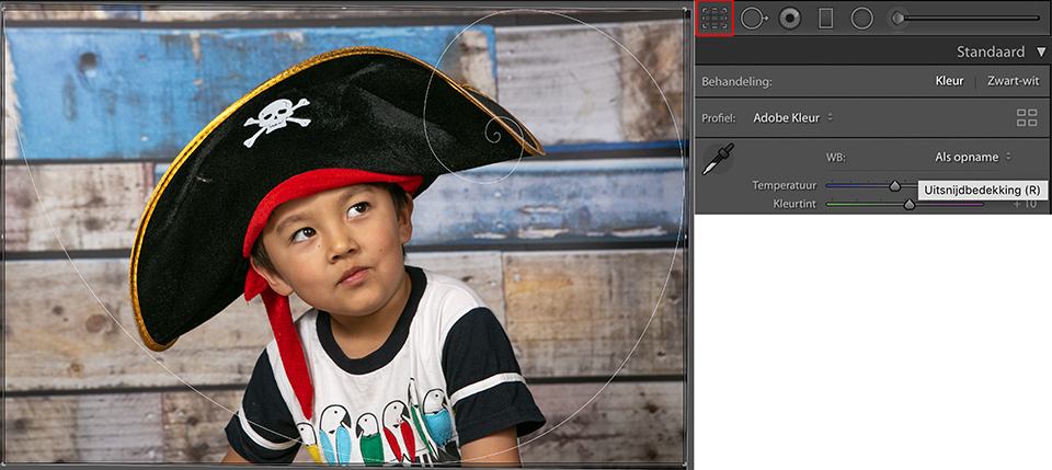 Lightroom - grid overlays Lightroom - grid overlays