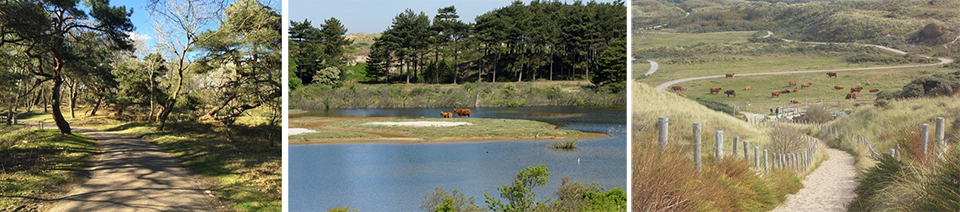 Nationaal park zuid kennemerland