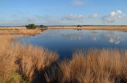 Natuurfotografie wedstrijd 1 Natuurfotografie wedstrijd