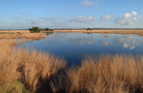 Natuurfotografie wedstrijd