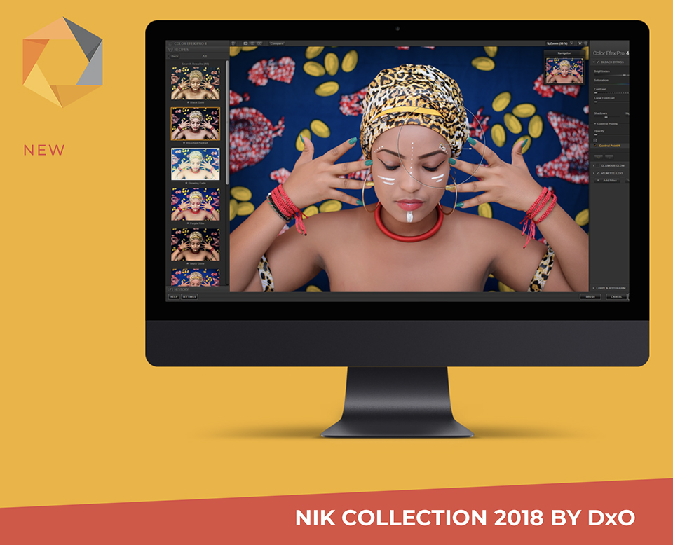 Nik collection 2018