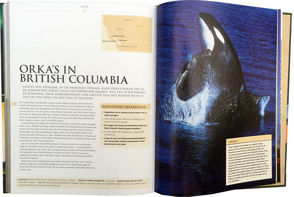 Orcas brittish columbia 1