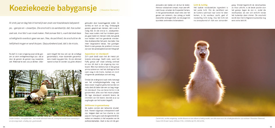 Praktijkboek Natuurfotografie NXTLVL