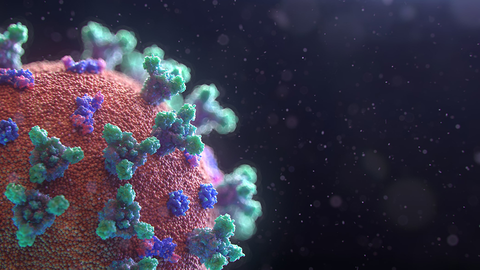 Photo fusion medical animation Photo fusion medical animation