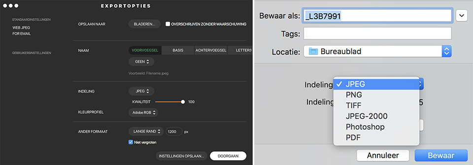 Photolemur advanced export options Photolemur advanced export options