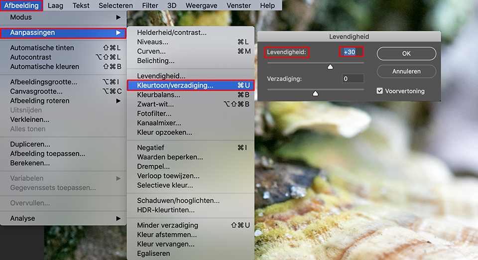 Photoshop levendigheid verhogen Photoshop levendigheid verhogen