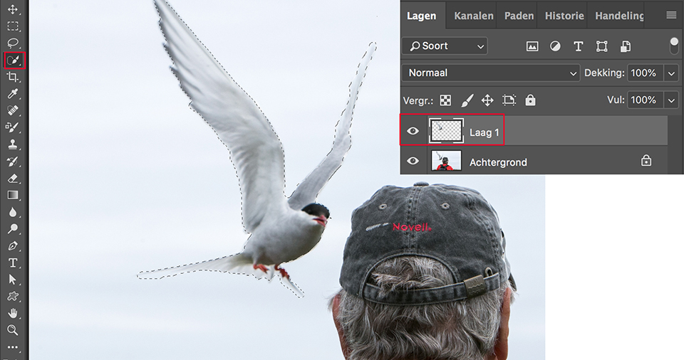 Photoshop vogel selecteren copy paste naar nieuwe laag