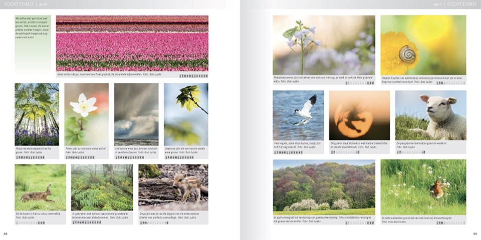 Praktijkboek natuurfotografie Praktijkboek natuurfotografie
