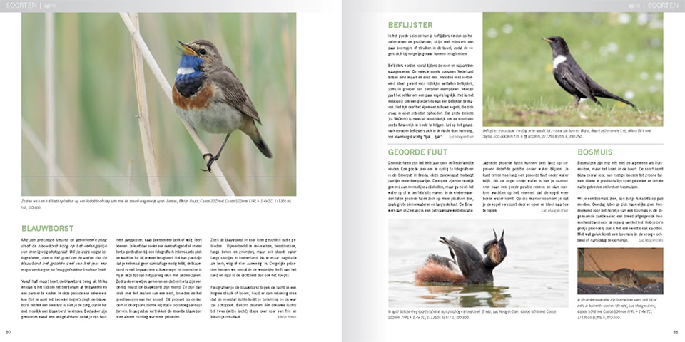 Praktijkboek natuurfotografie