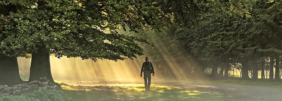 Rob in mooi licht