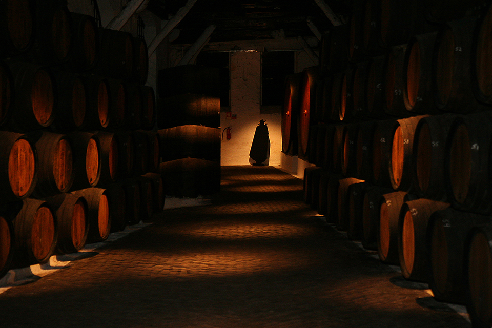 Sandeman- Porto Sandeman- Porto