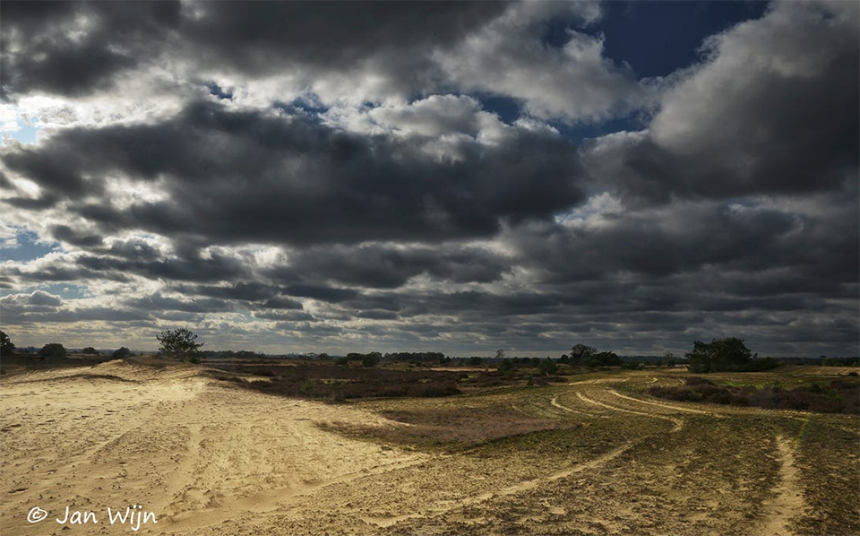 Strabrechtse heide jan wijn