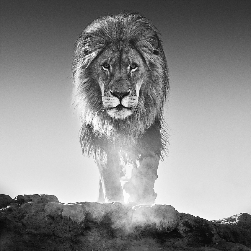 The old testament david yarrow