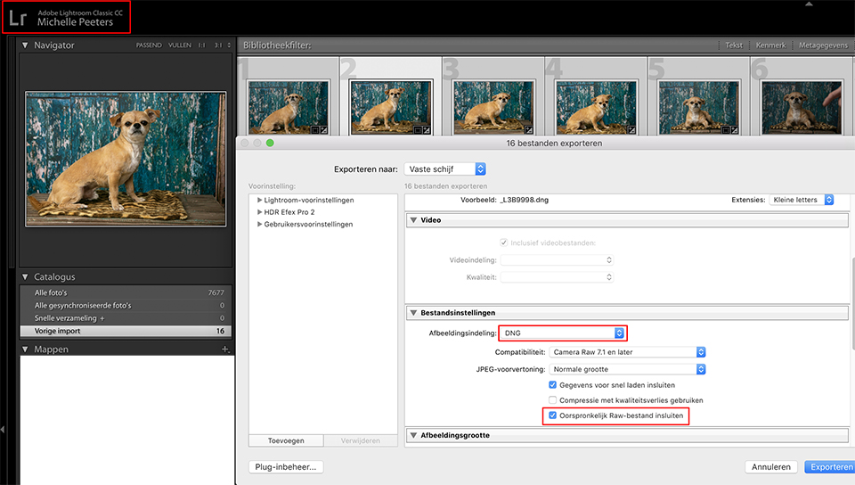 Vanuit lightroom exporteren naar dng