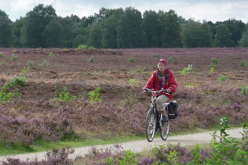 Veluwe