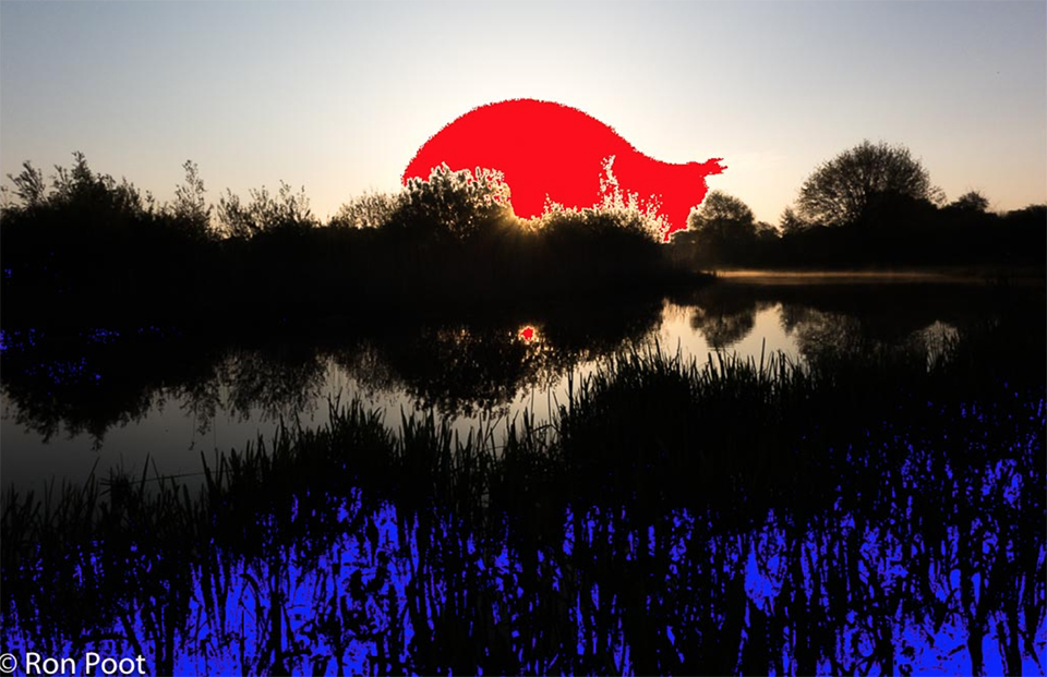 Waarschuwing over en onderbelichte delen via natuurfotografie nlkopie Waarschuwing over en onderbelichte delen via natuurfotografie nlkopie