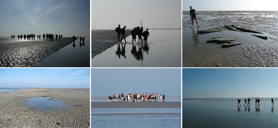 Wadlopen louwersoog schier mp