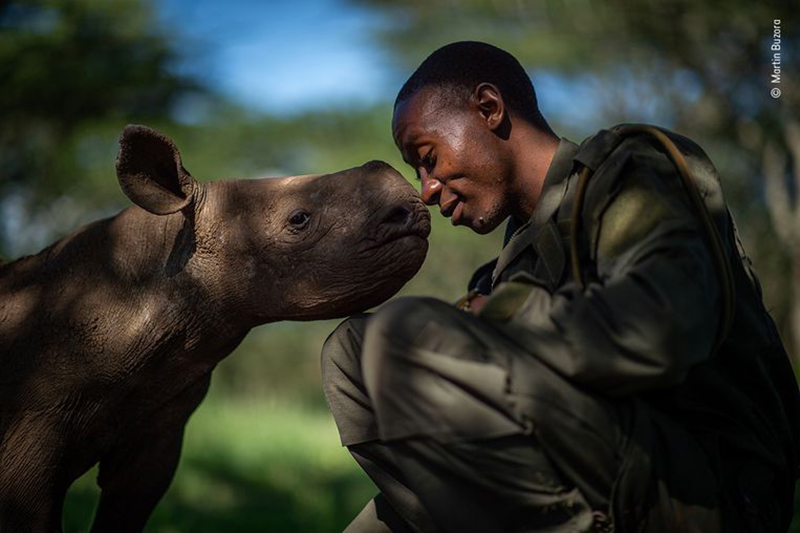 Wildlife photographer of the year 4