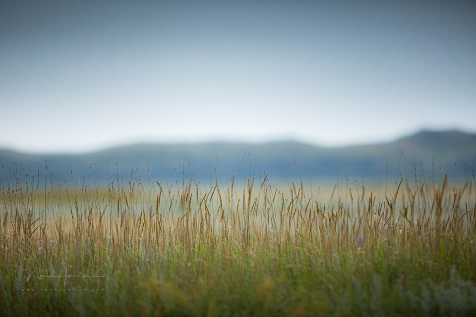 2013 nando kleine scherptediepte