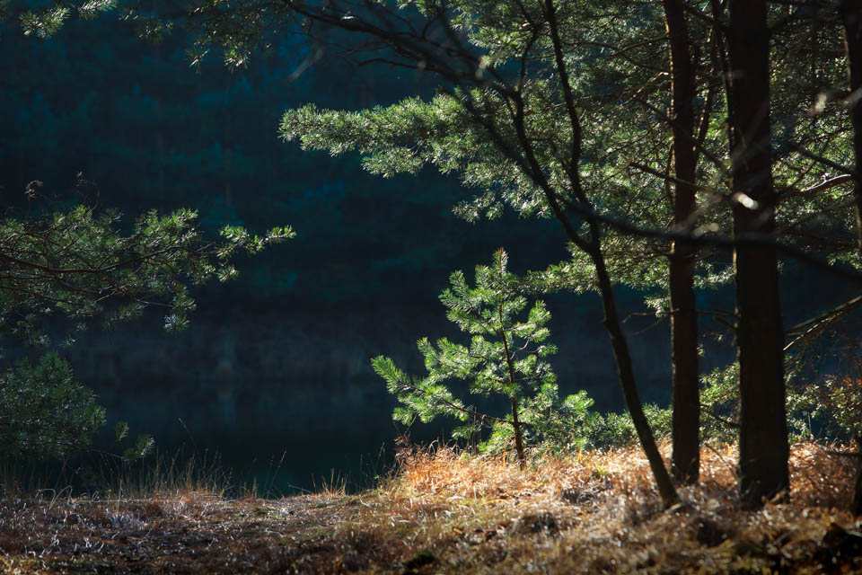 2014 nando kleine scherptediepte