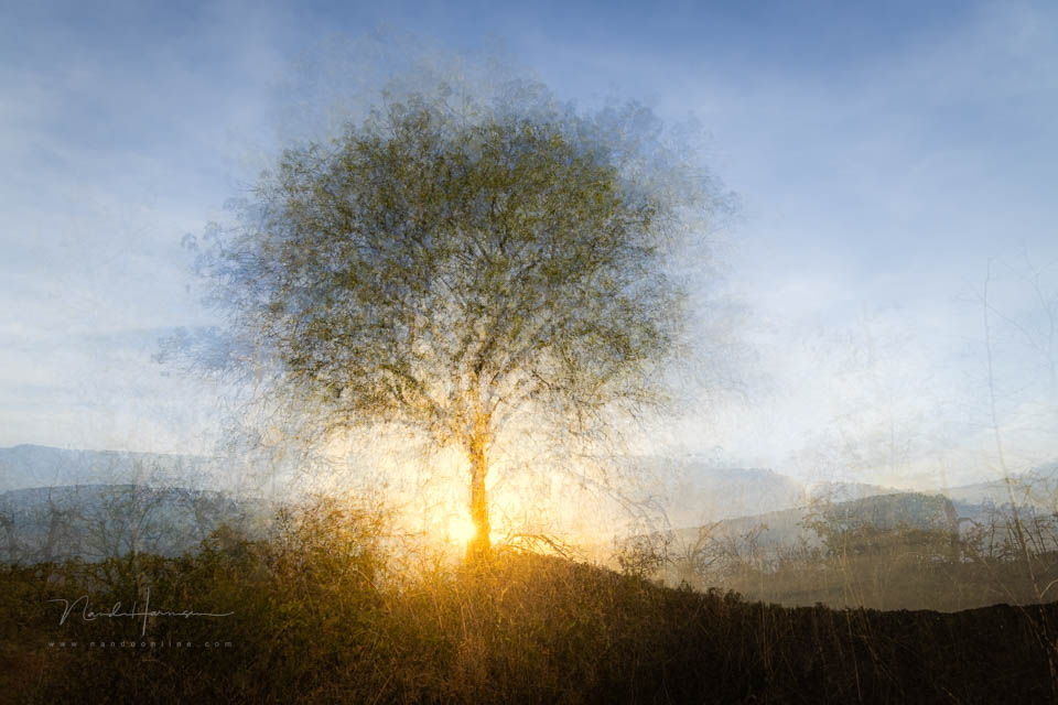 2023 nando pep ventosa boom zon