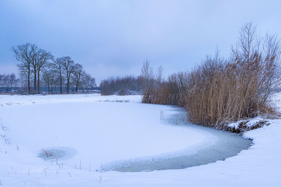2026 nando in de sneeuw