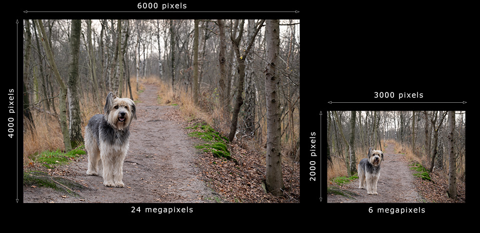 24MP 6MP 24MP 6MP