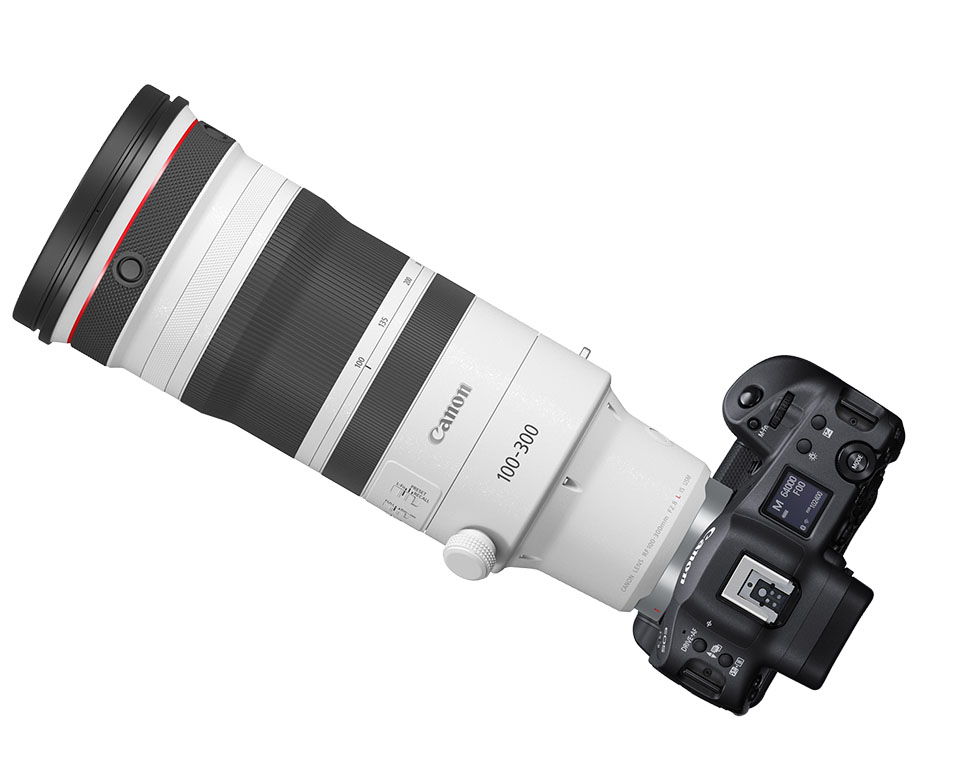 Canon RF 100-300mm f/2.8 L