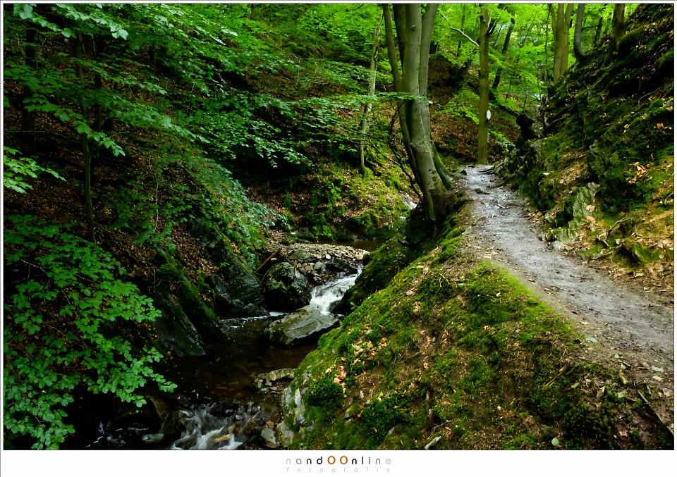 Fujifilm X 70 review photofacts foto 11 Fujifilm X 70 review photofacts foto 11