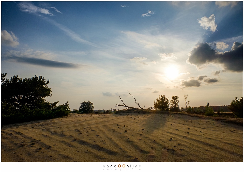 Fujifilm X 70 review photofacts foto 14 Fujifilm X 70 review photofacts foto 14