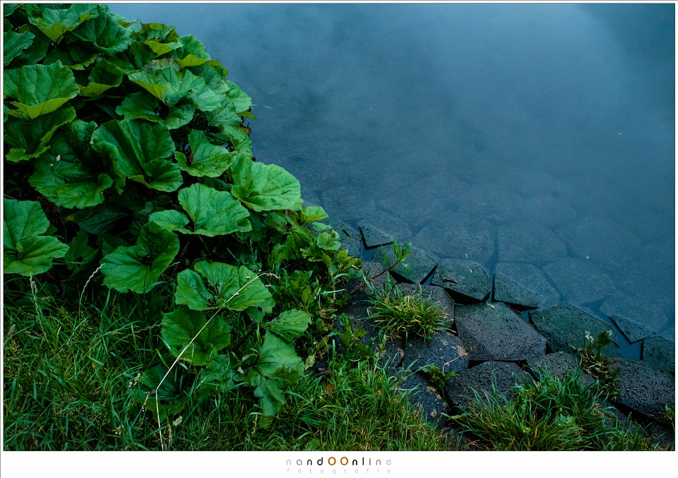 Fujifilm X 70 review photofacts foto 24 Fujifilm X 70 review photofacts foto 24