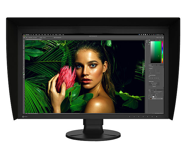 Eizo CG 2700S