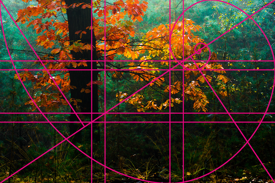 Compositie hulplijnen Compositie hulplijnen