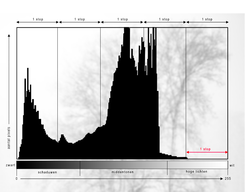 Histogram onderbelicht Histogram onderbelicht