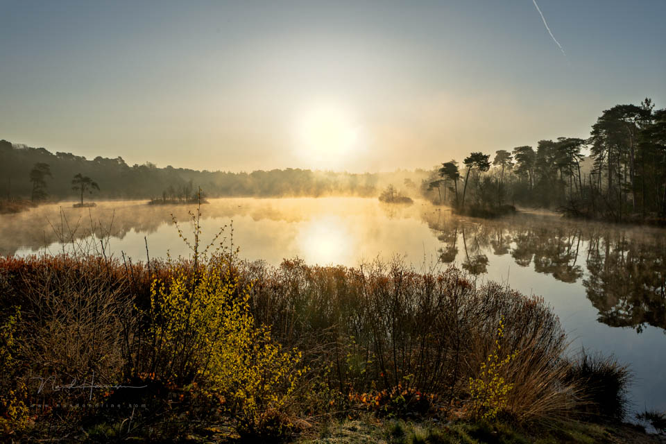 Landschap brandpunt Landschap brandpunt