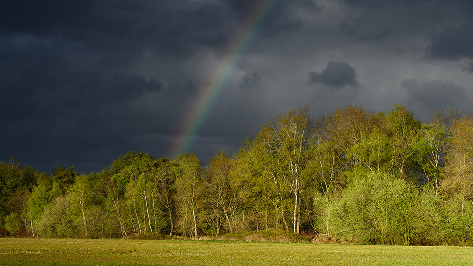 Lucht 0 Albert van Heugten