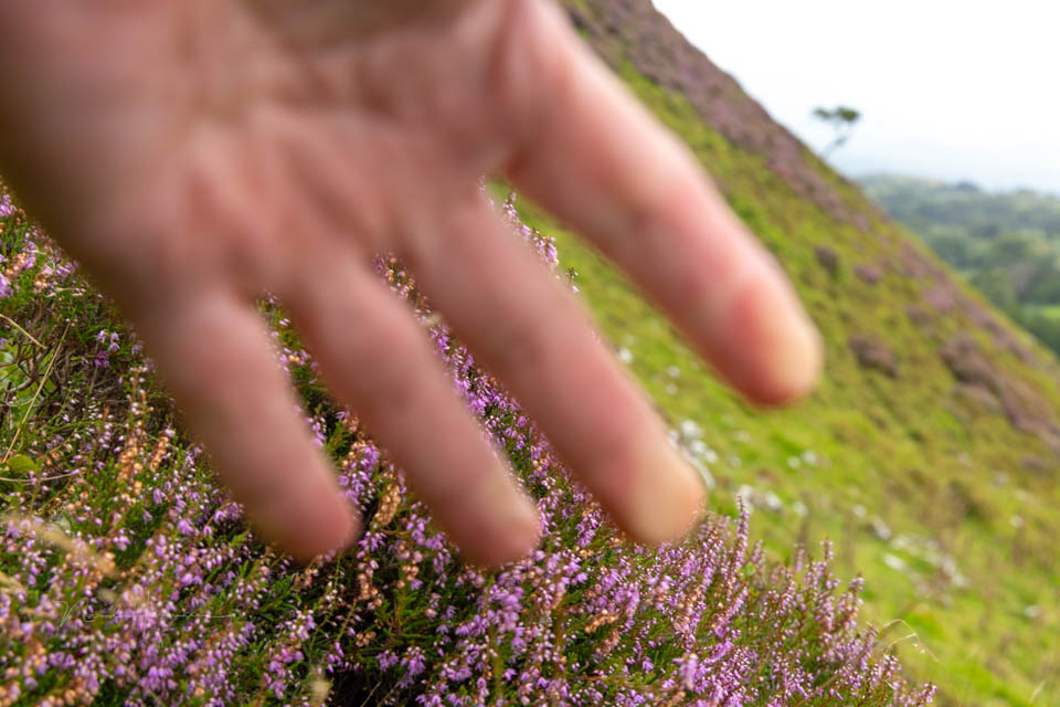 Nando 2025 hand voor de lens