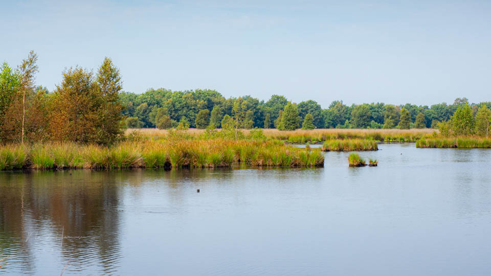 Nando 2025 landschap symmetrie Nando 2025 landschap symmetrie