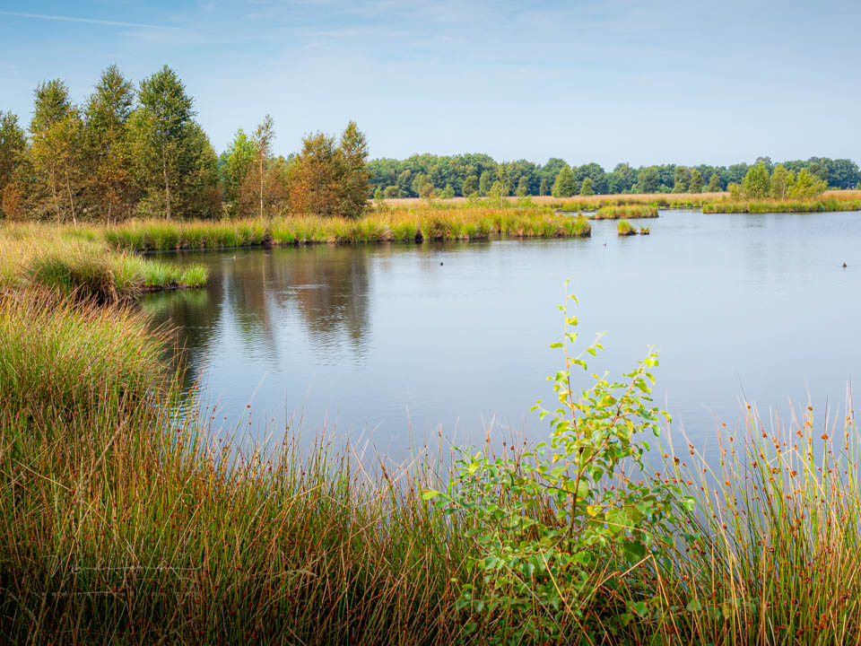 Nando 2025 landschap voorgrond 2 Nando 2025 landschap voorgrond 2