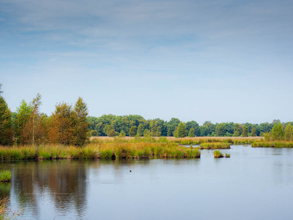 Nando 2025 landschap voorgrond Nando 2025 landschap voorgrond