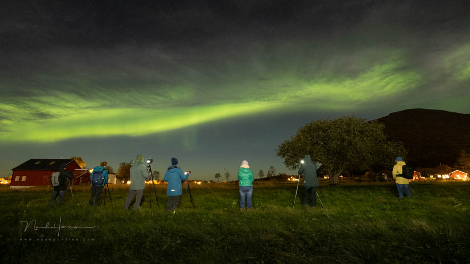 Nando 2025 op reis lofoten aurora